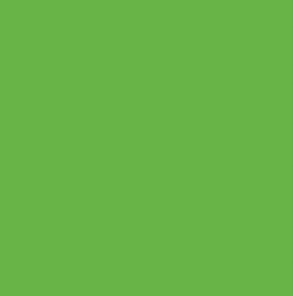 FII RISO Ink: Kelly Green