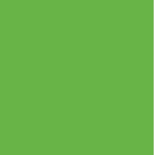 FII RISO Ink: Kelly Green